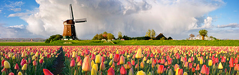iStock
