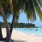 Thumb_puntacana