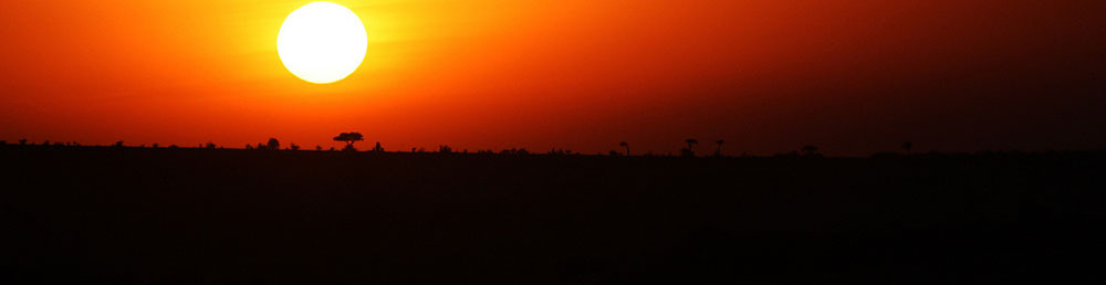 Flickr/Bryan_T