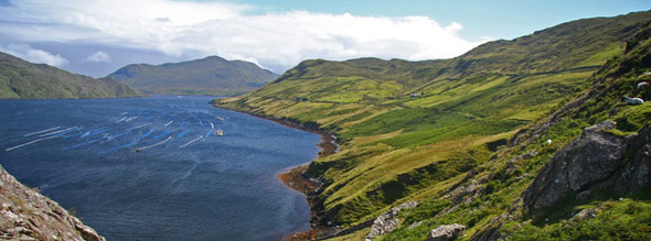 South West Walks Ireland