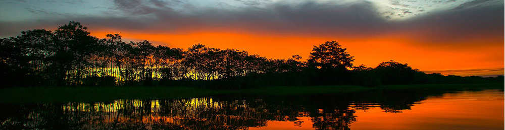 Flickr/Nguyen Ngoc Chinh