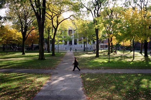 Harvard University
