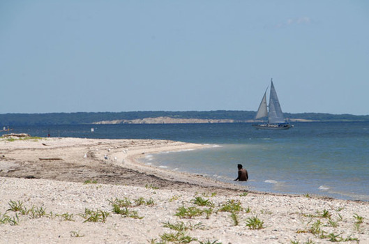 New York State Parks