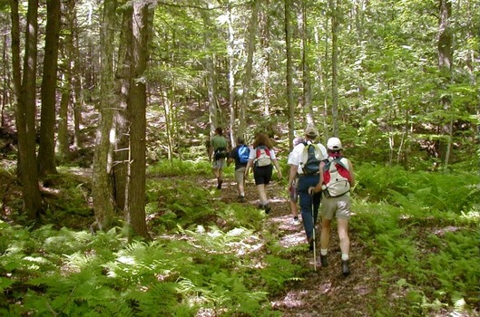 New Life Hiking Spa