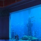 Thumb_img_ae2c27d3200c90c23f9dc1e8a2a4a830