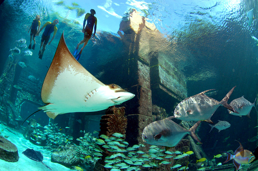 Atlantis, Paradise Island