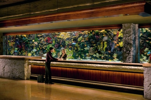 MGM Resorts International