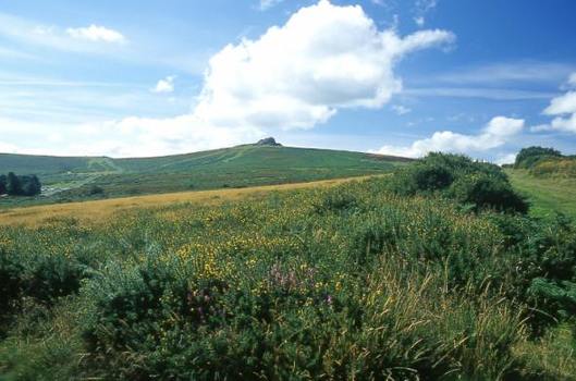 Dartmoor Partnership
