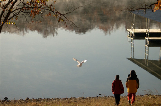 Photos.com