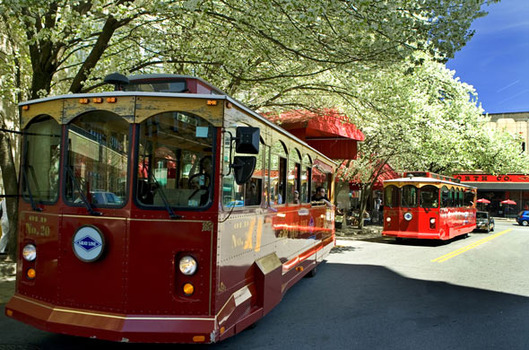 Asheville Convention & Visitors Bureau