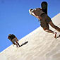 Thumb_extremevacations