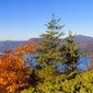 Thumb_fallfoliage2_470x149