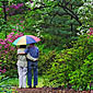 Thumb_easyspringweekendgetaways