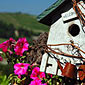 Thumb_springdestinations