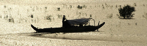 pandaw.com
