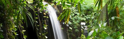 Photos.com